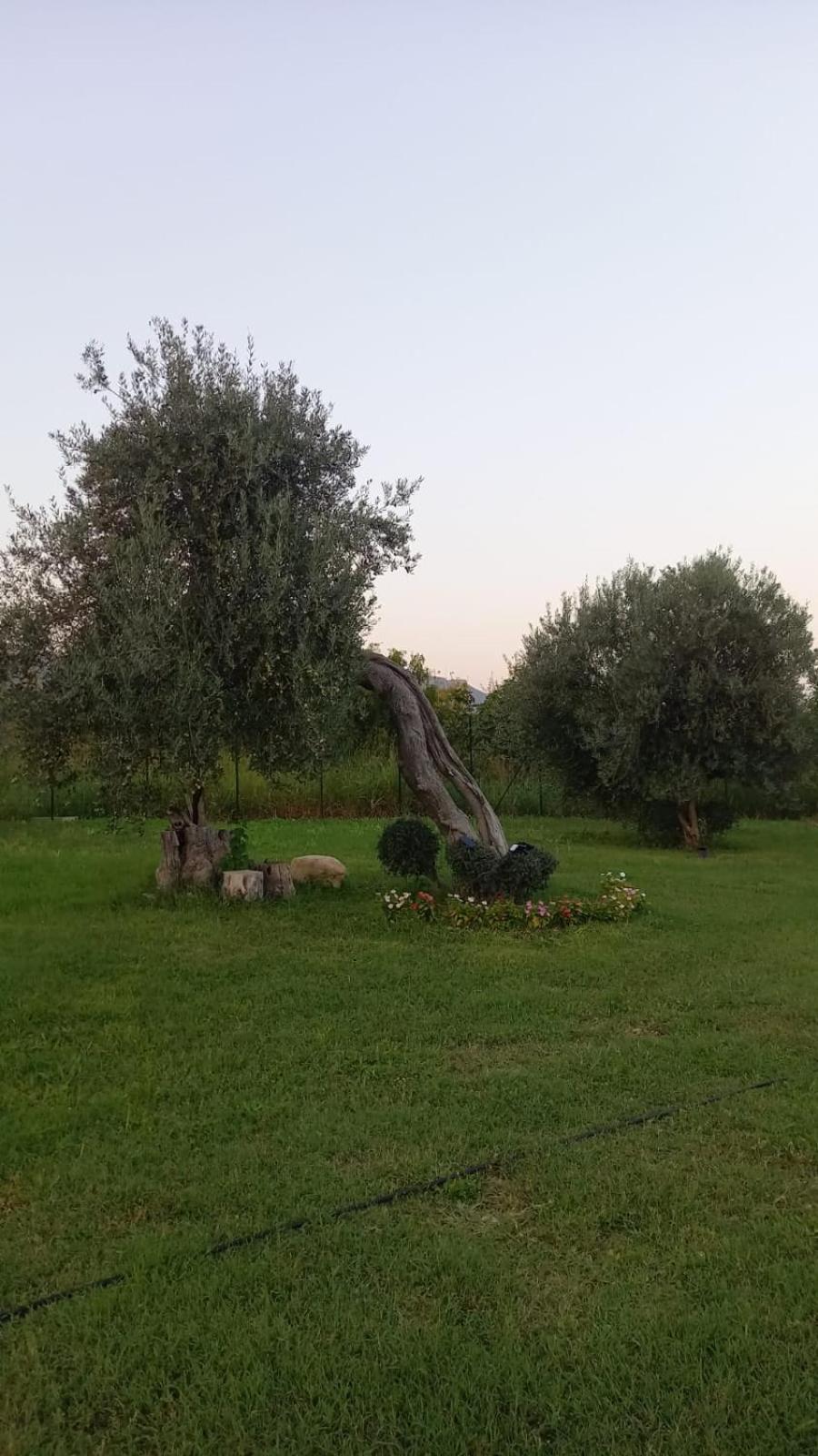 فيلا I Secolari Di Giulia أفولا المظهر الخارجي الصورة
